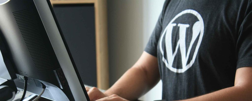 WordPress development consulting