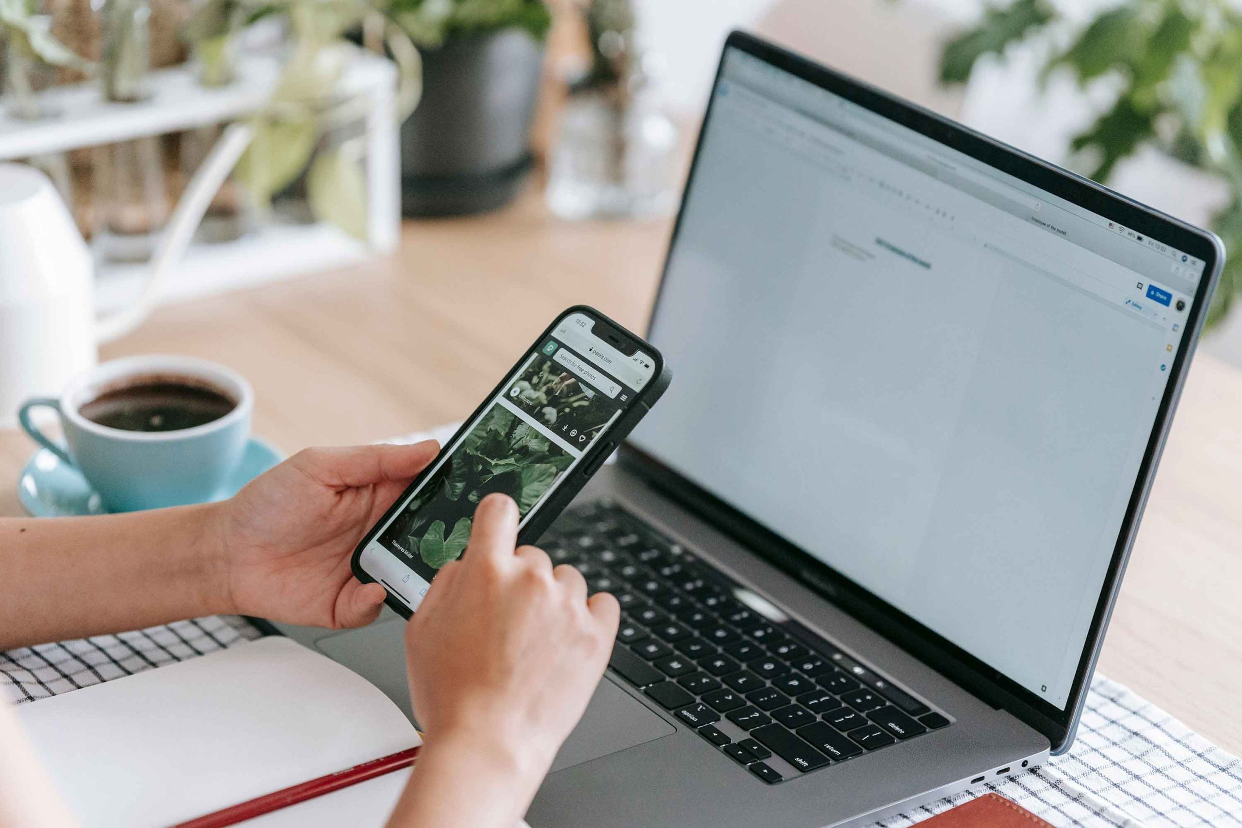 Looking at mobile and desktop search results